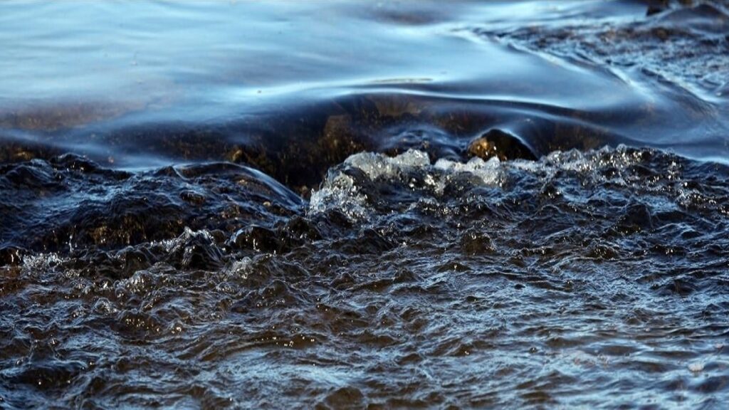 The value of water for humans