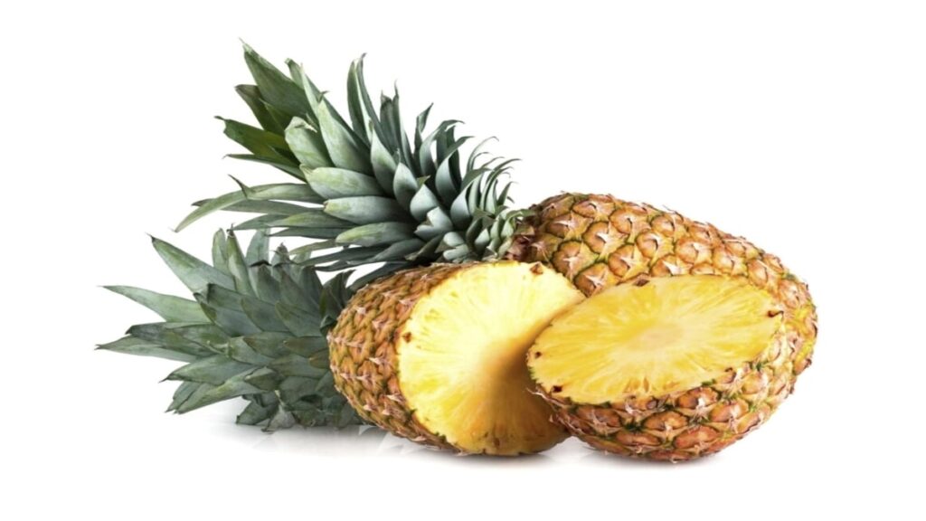 Pineapple: The Tropical Fruit