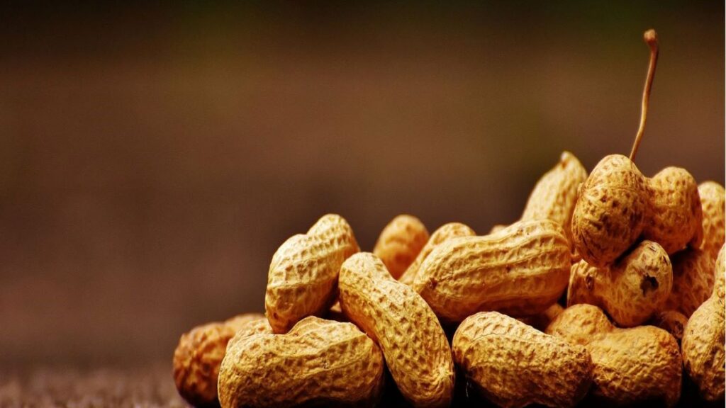 Peanuts, useful properties, and contraindications
