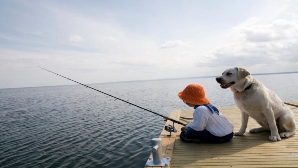 Essential Fishing Equipment: A Comprehensive Guide for Anglers