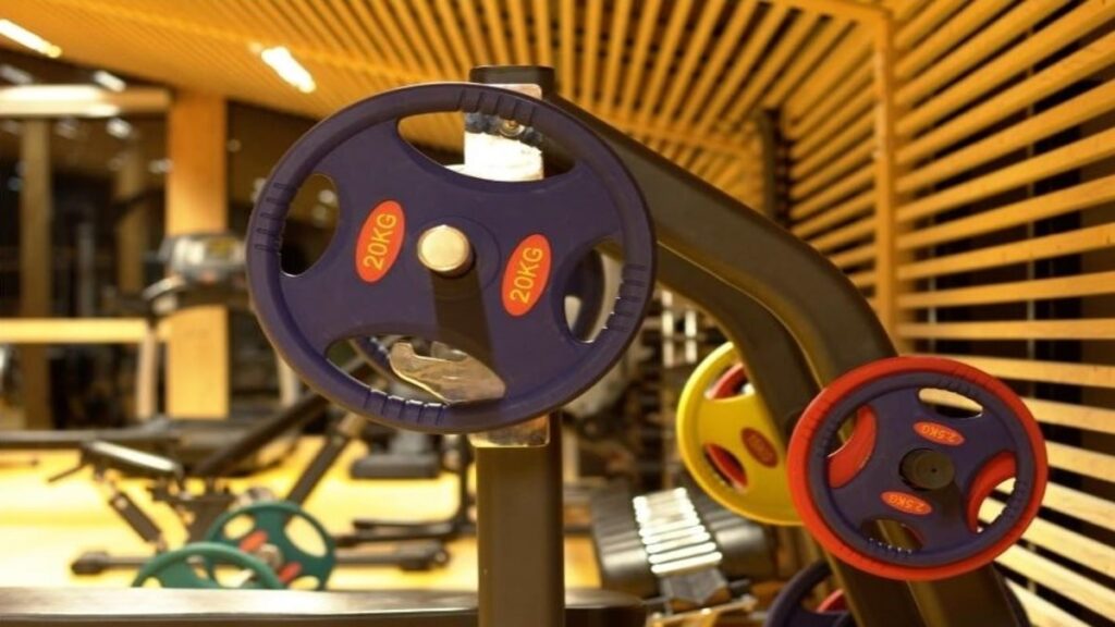 The Best Home Gym Systems