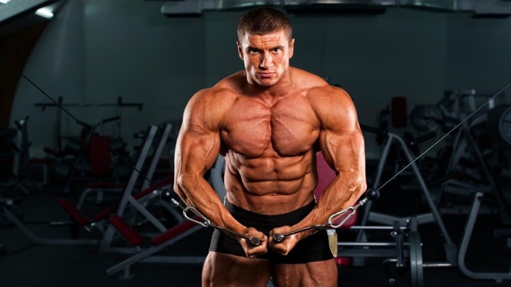 The Best Abdominal Equipment in 2023