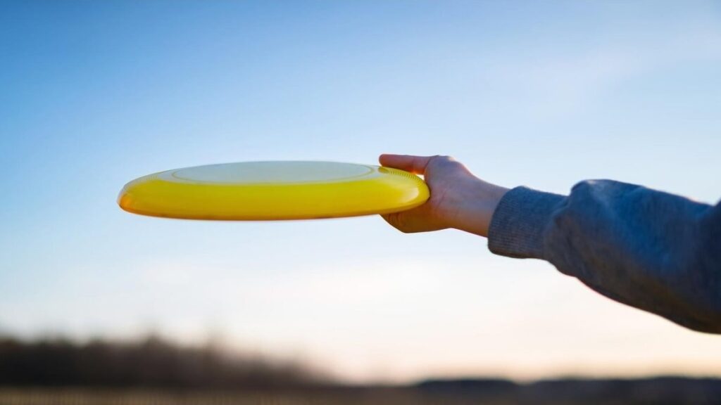 The Perfect Frisbee, Ultimate Guide to Choosing