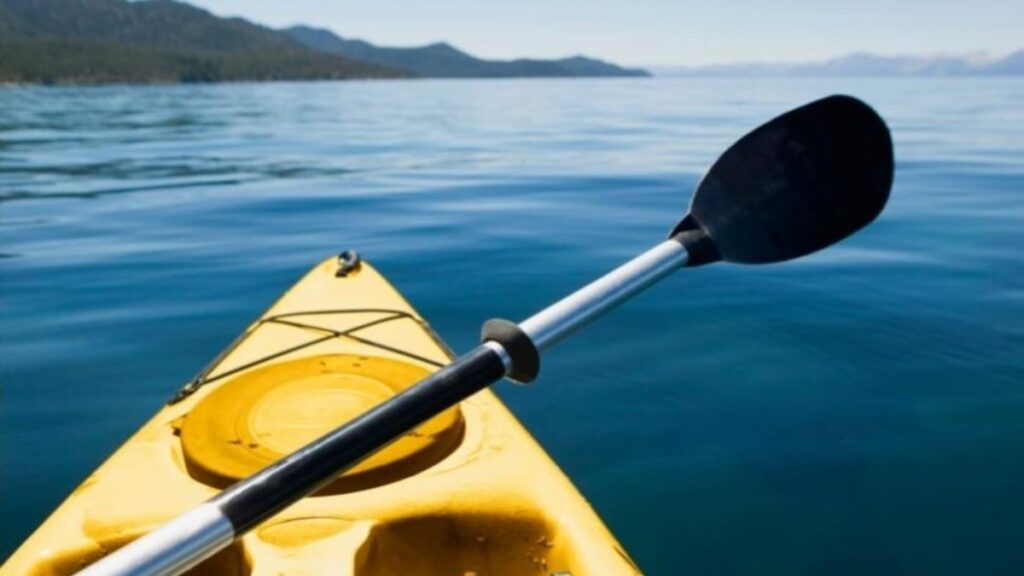 Selecting the Right Kayak Paddle: A Comprehensive Guide