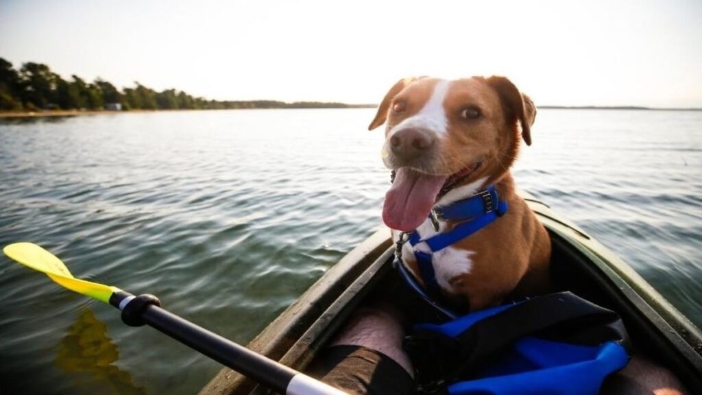 Health Benefits of Kayaking