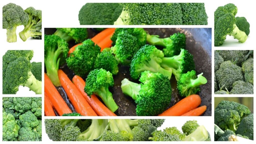 Embracing Broccoli A Guide to Its Nutritional Benefits and Versatile Uses