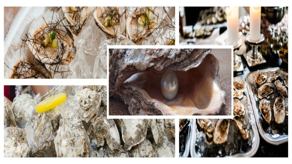Oysters: The Sea's Mysterious and Tantalizing Treasures