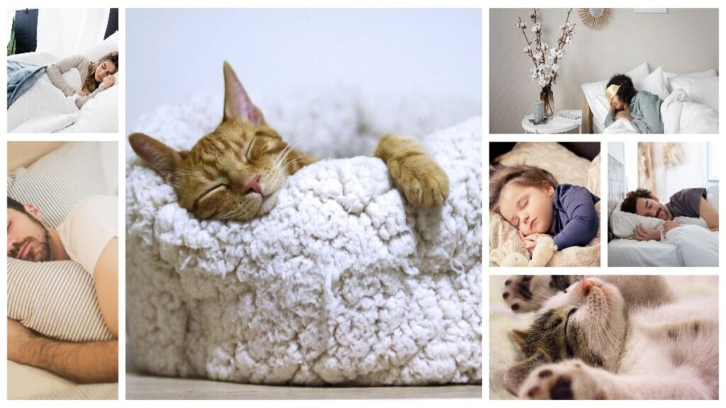 Restful Slumbers: Nourishing Decisions and Essential Practices