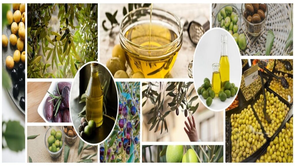 Unraveling the Mystery of Olives