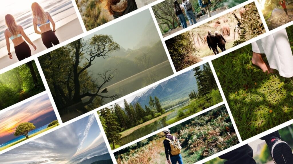 Nature Walks Your Prescription for Better Health