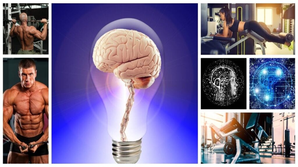 The Effect of Physical Exercise on Memory: A Deep Dive into the Science